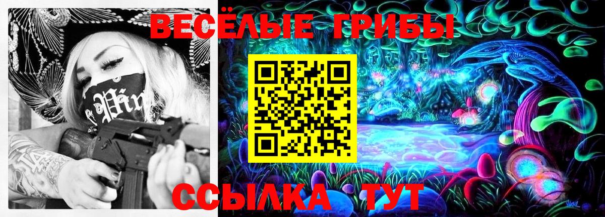 Вичуга  Псилоцибиновые грибы Psilocybine cubensis  Вход с VPN 